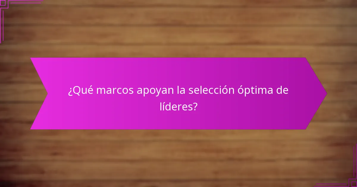 ¿Qué marcos apoyan la selección óptima de líderes?